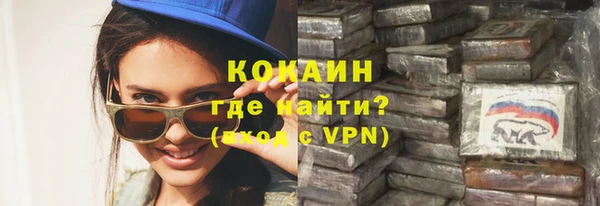 дживик Абаза