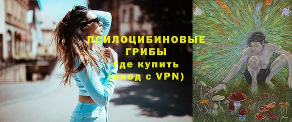 дживик Абаза