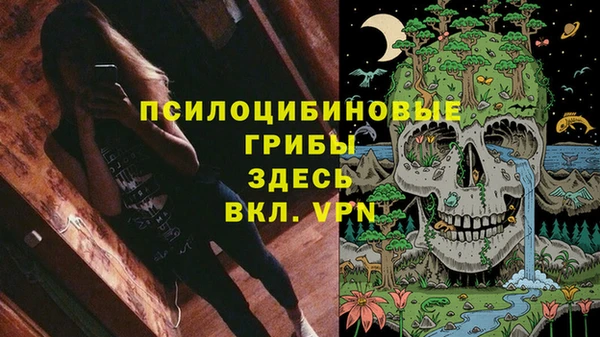 мяу мяу мука Абинск