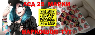 спиды Кандалакша