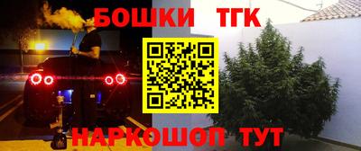 спиды Кандалакша